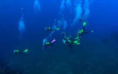 Curso Divemaster