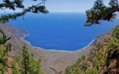 LAS PLAYAS’ VIEWPOINT