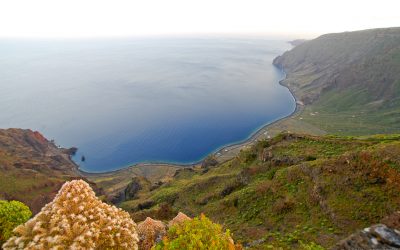 LE MIRADOR DE BASCOS