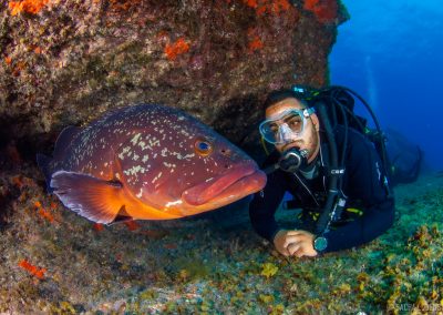 Buceo El Bajón