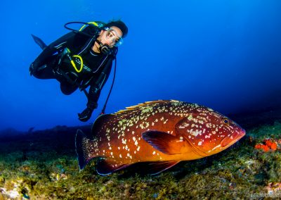 Buceo El Bajón, El Hierro