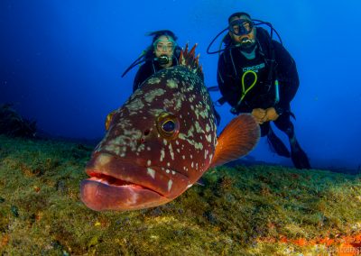 Buceo El Bajón, El Hierro