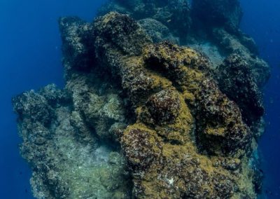 Buceo El Bajón