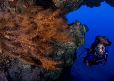 Buceo El Bajón