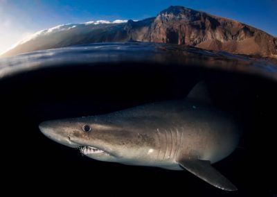 Buceo El Bajón