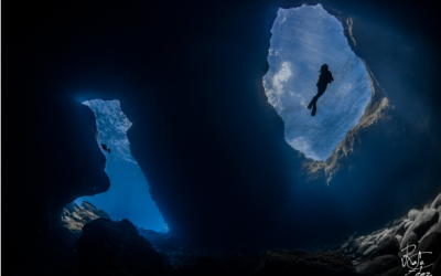 Curso de Buceo: Los mejores puntos para realizarlo en El Hierro