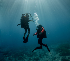 Instructor de buceo PADI en El Hierro