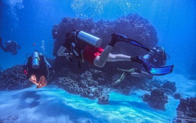 Instructor de buceo PADI: Conviértete en un instructor reconocido en La Restinga