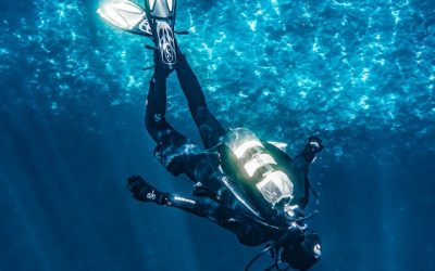 Instructor de buceo: Forma parte de la comunidad en La Restinga