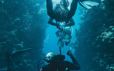 Mundo submarino: Exploralo en las Islas Canarias